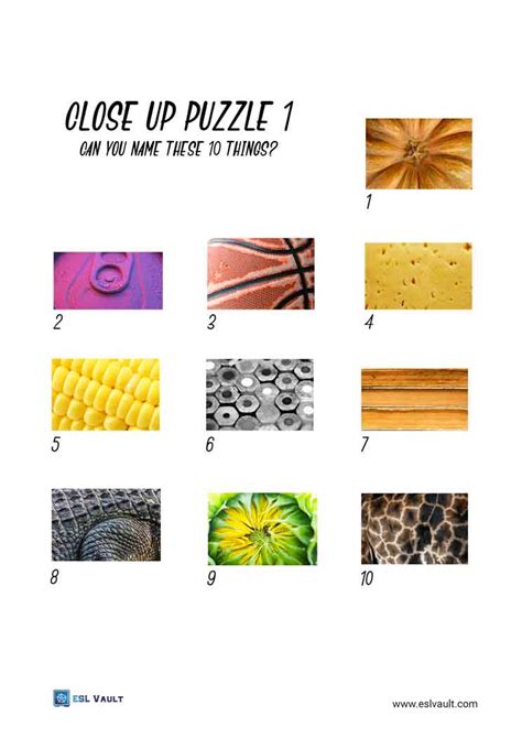 Close Up Picture Quiz With Answers Printable